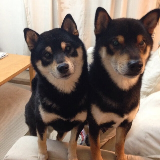 新王当立!哈兰德双响导演速胜,姆巴佩统治世纪之战