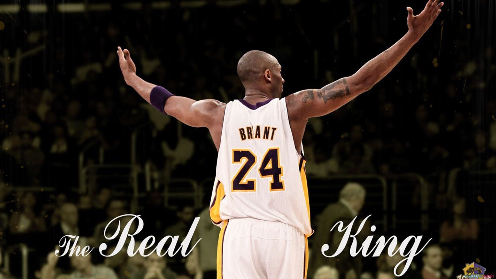 西亚卡姆高光背后是低语,森林狼险胜中暴露的甜蜜隐忧