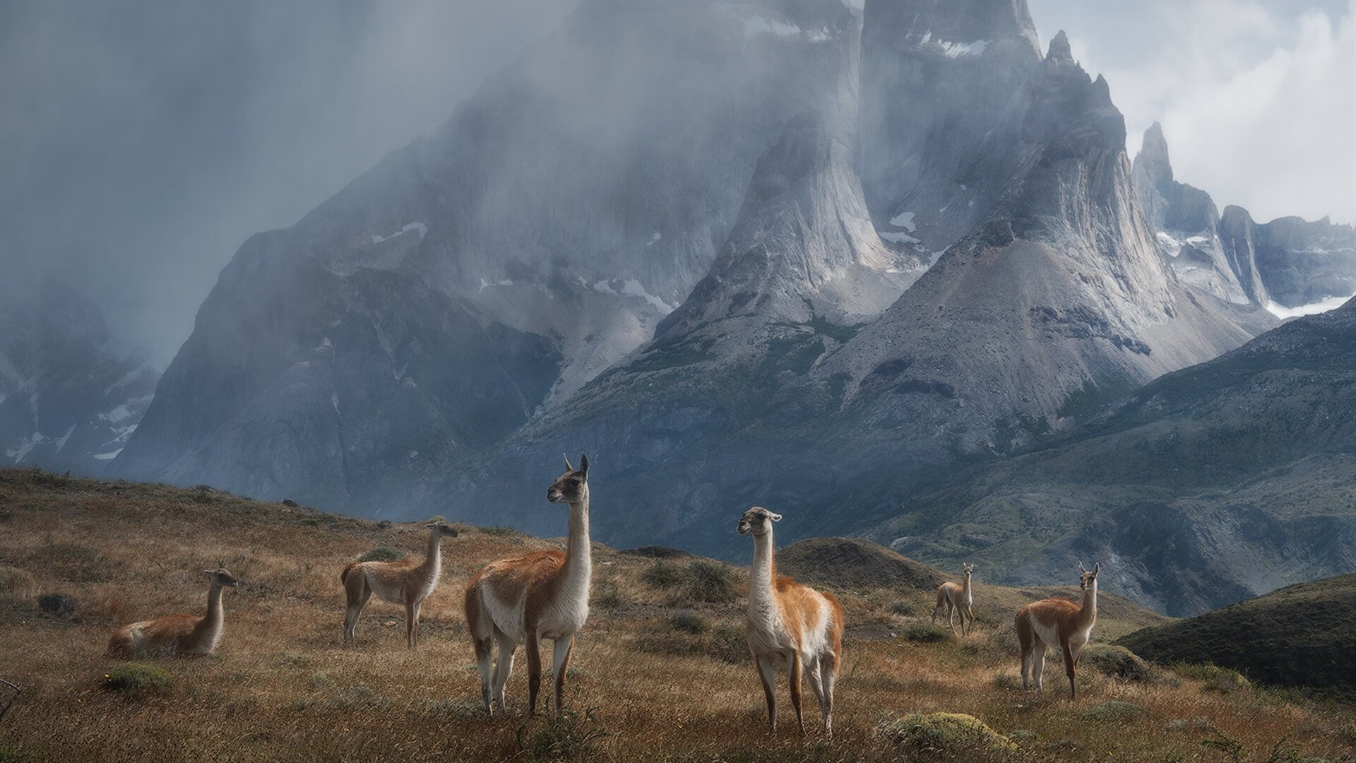 绝境逆转！加纳倒下之夜，托尼先生降临里昂