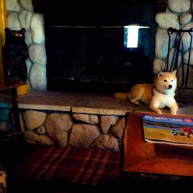 开云sport-风暴之眼，东契奇如何在湖人生死战中绘制独行侠的航海图