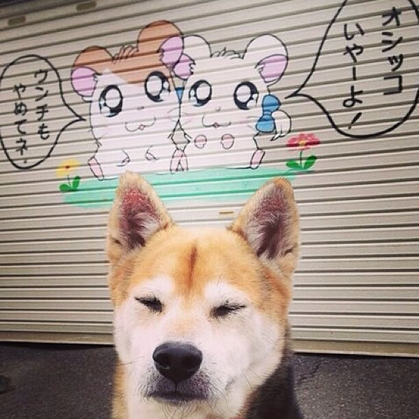 马克西46分屠城记，雄鹿三巨头空砍，鹈鹕客场陷落