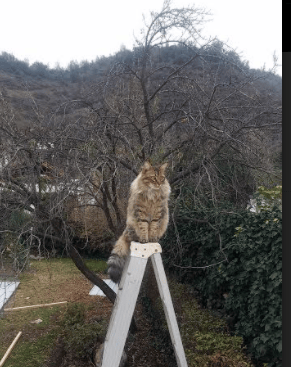 开云体育在线-冰与火之歌，从吉林的寒夜到多哈的烈日—唯二性的体育史诗